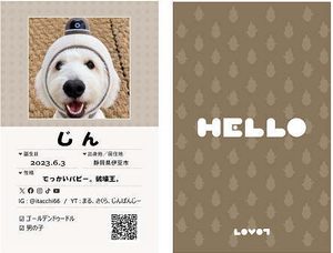 lovotm名刺